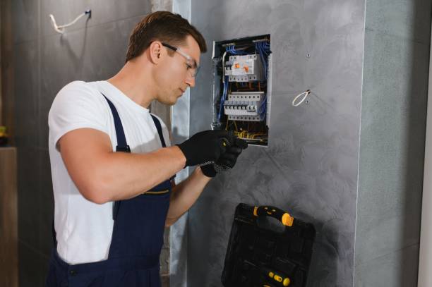 Best Electric Panel Repair  in Winfield, MO